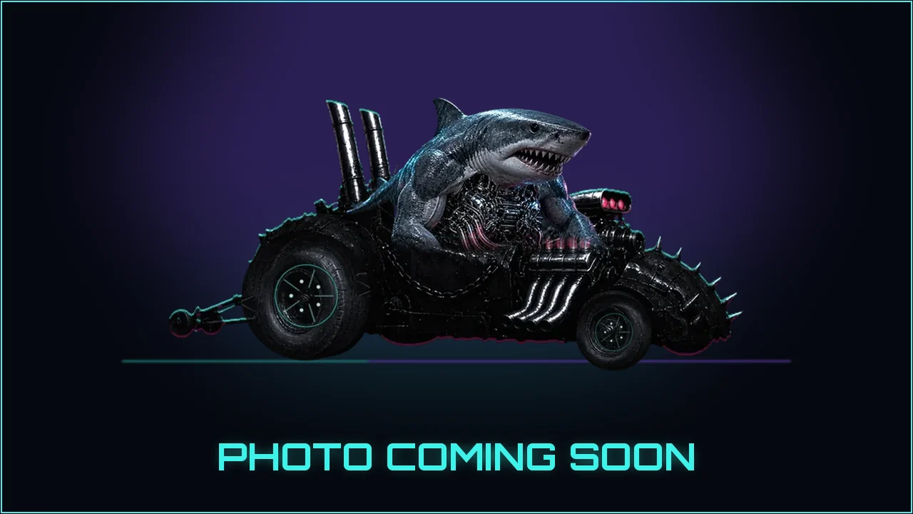 Part Shark drag car placeholder, photo coming soon